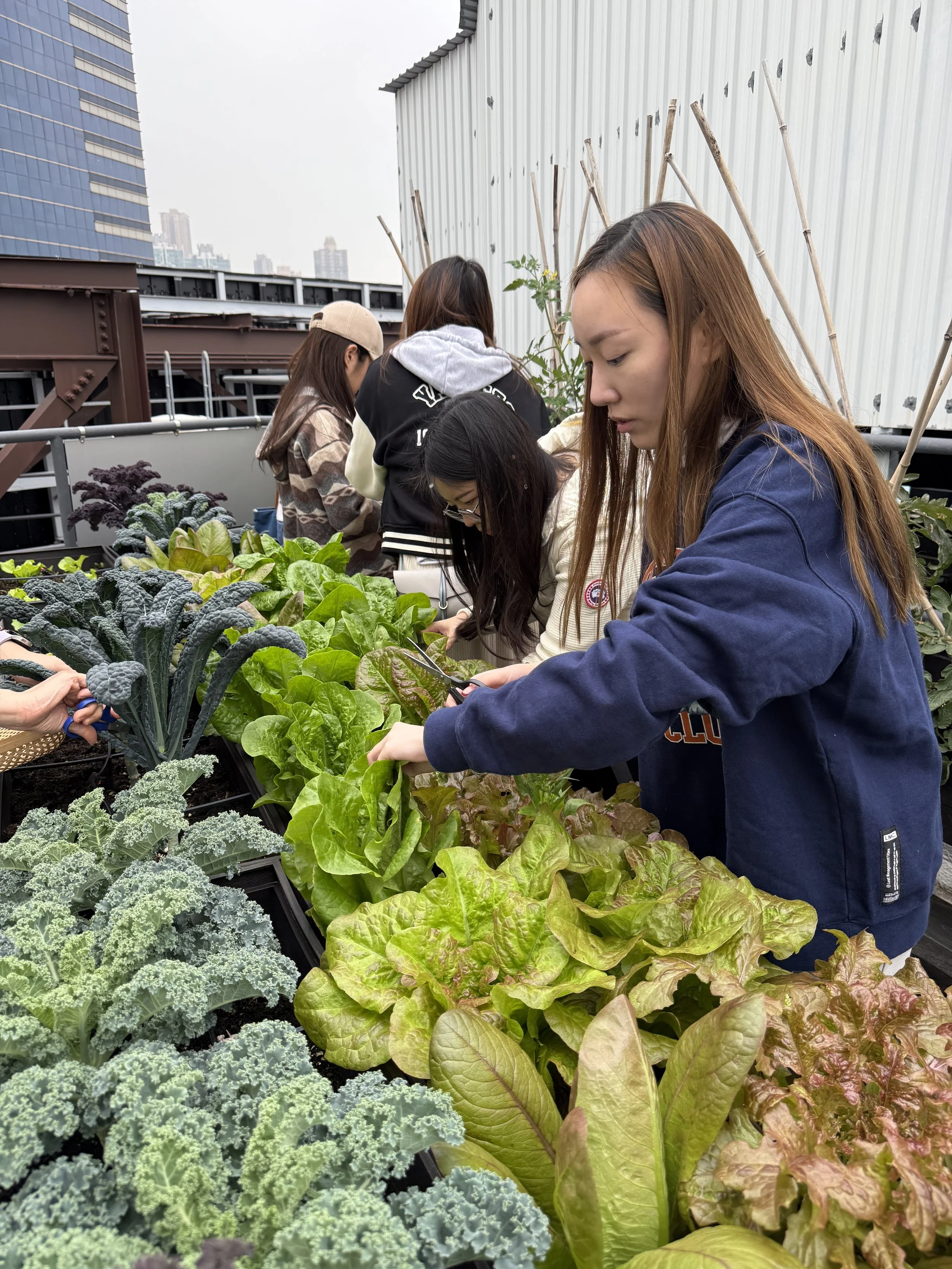 Grow Something Infinitus Plaza Farming Workshop
