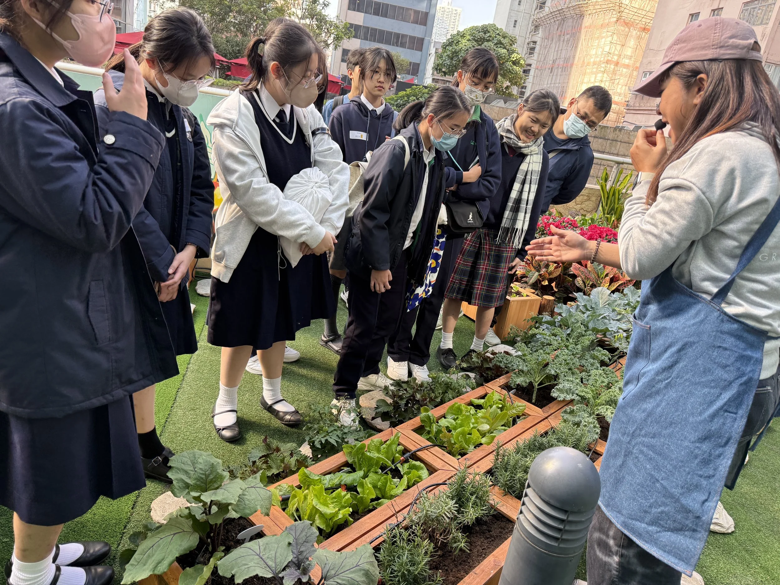 Grow Something  Langham Place Farming Workshop