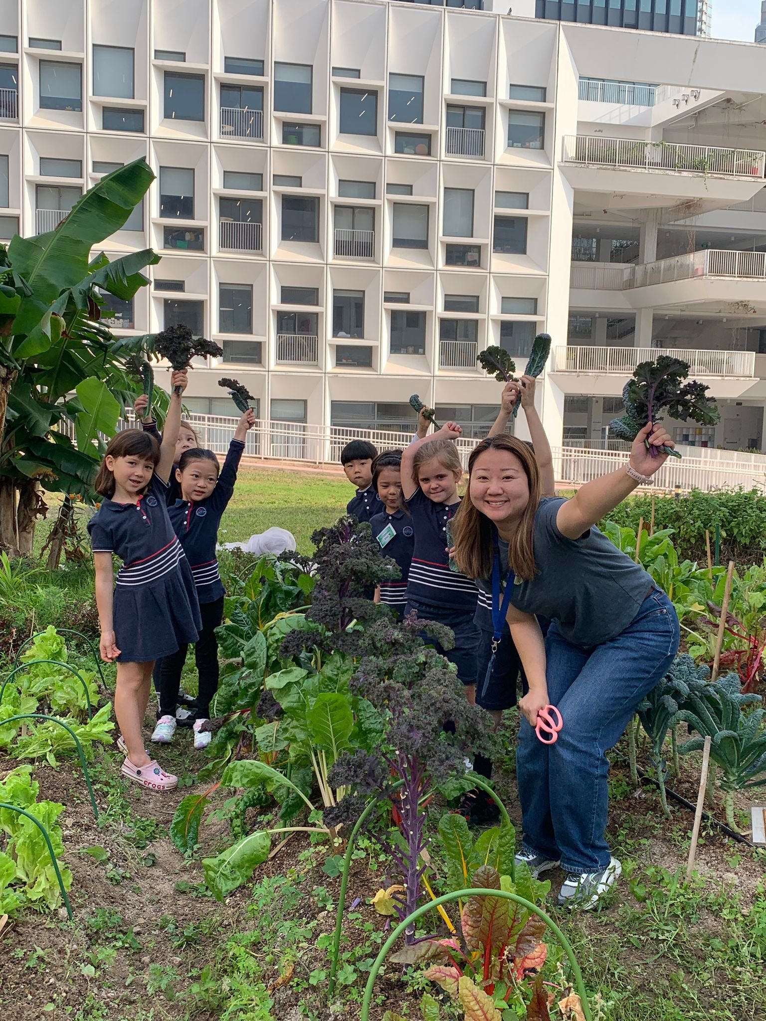Grow Something French International School Farming Workshop