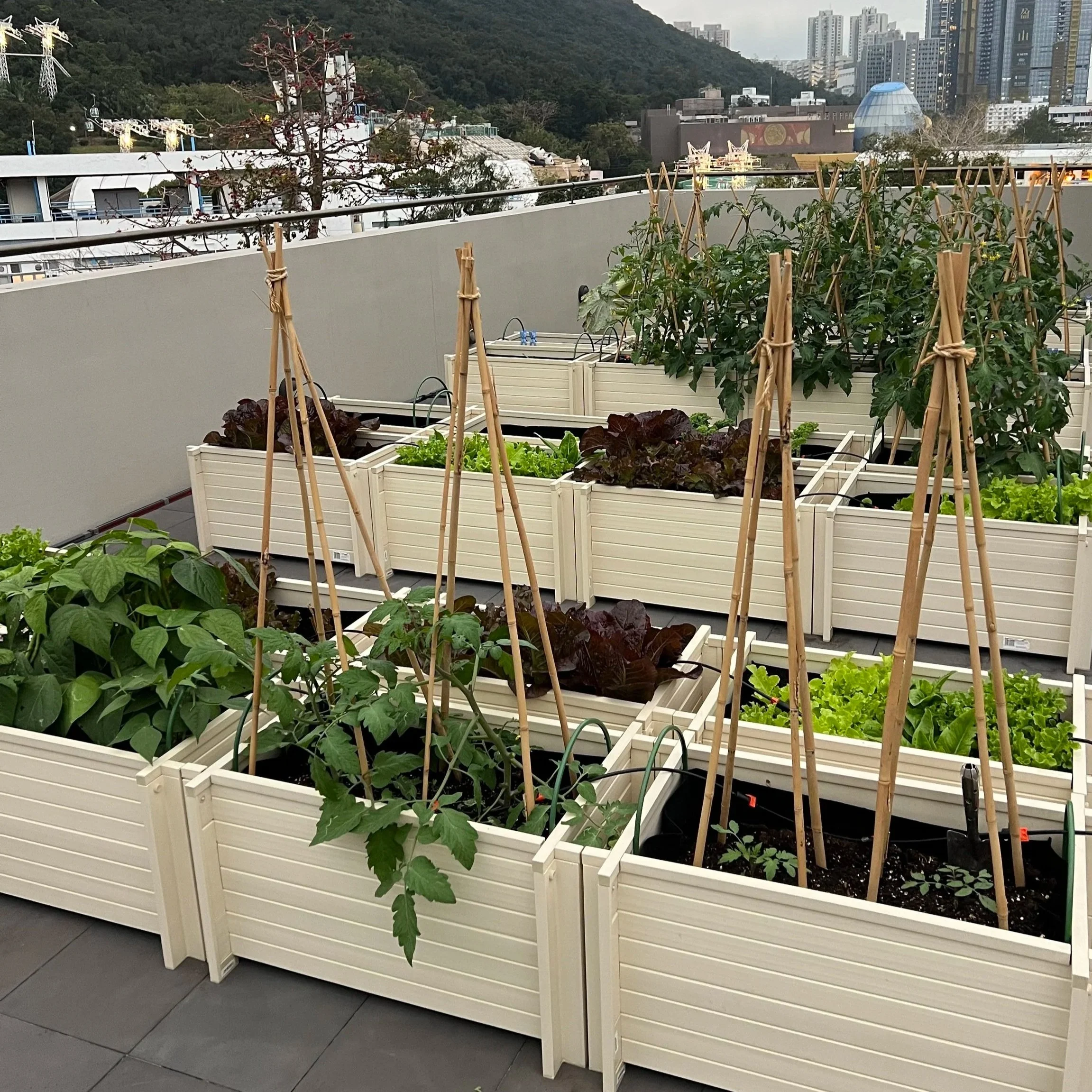 Grow_Something_Shop
