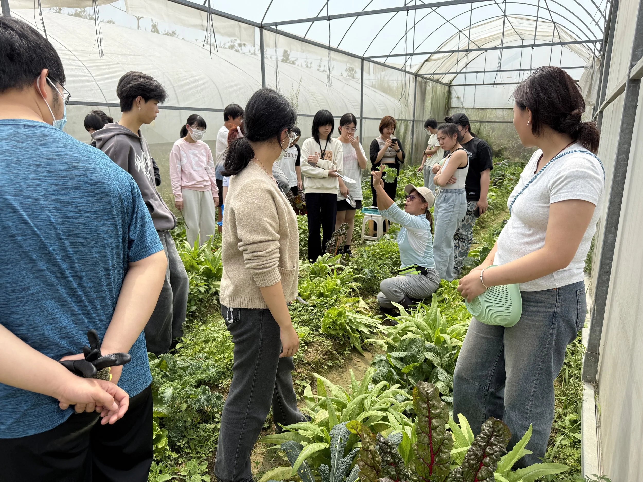 Grow Something  VTC Youth College Farming Course