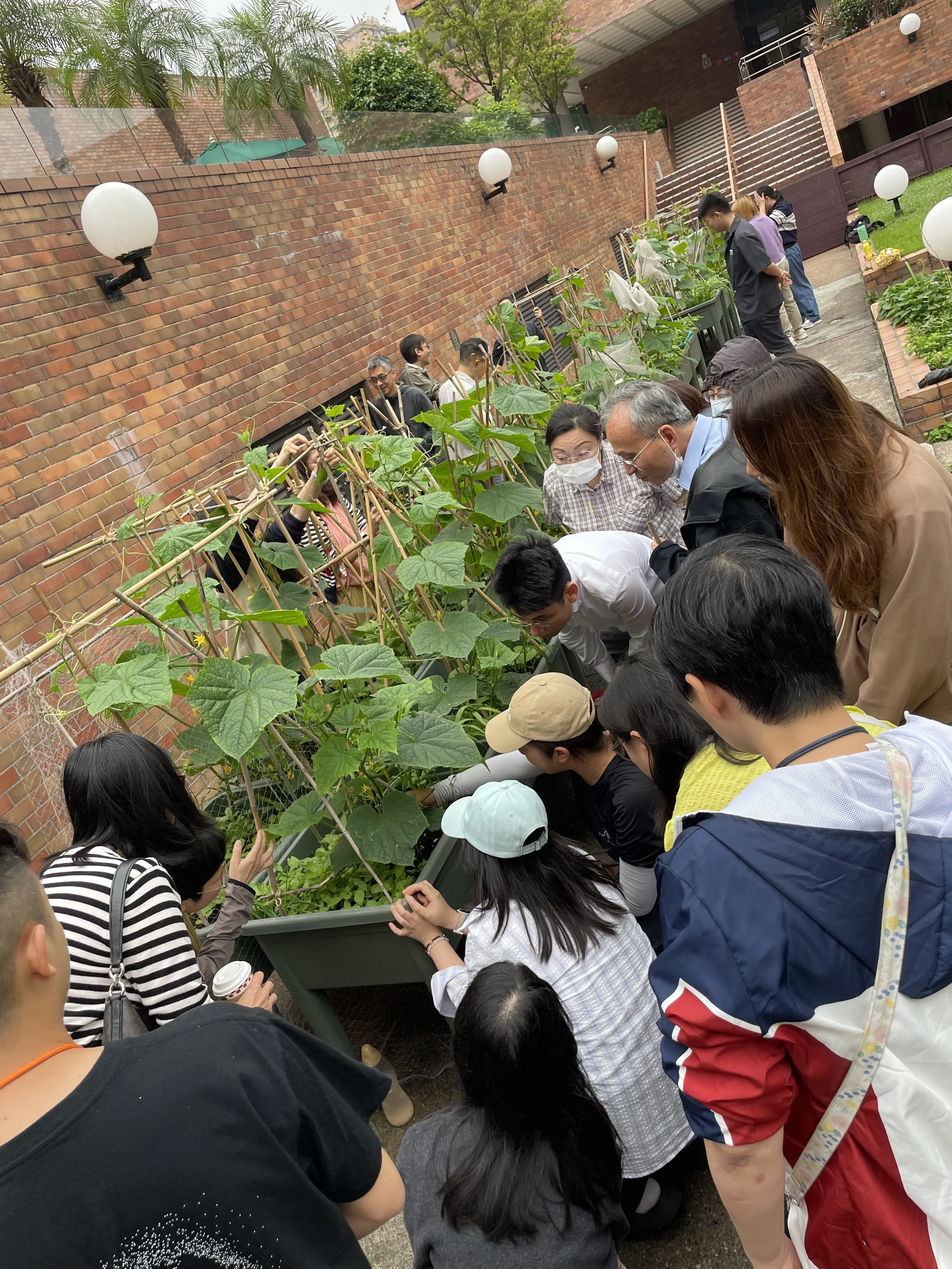 Grow Something PolyU Urban Farming Workshop
