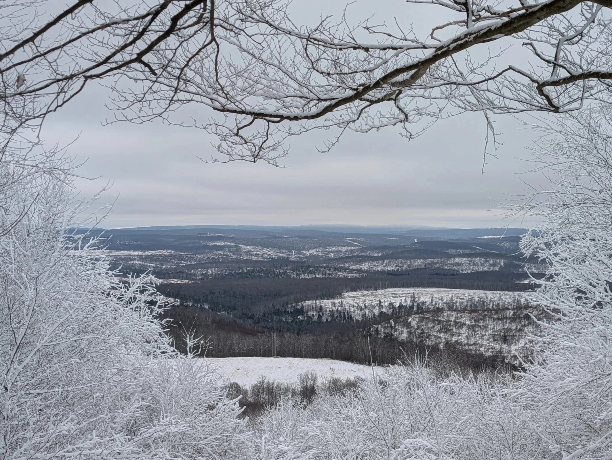 Open Door Lenten Silent Retreat 