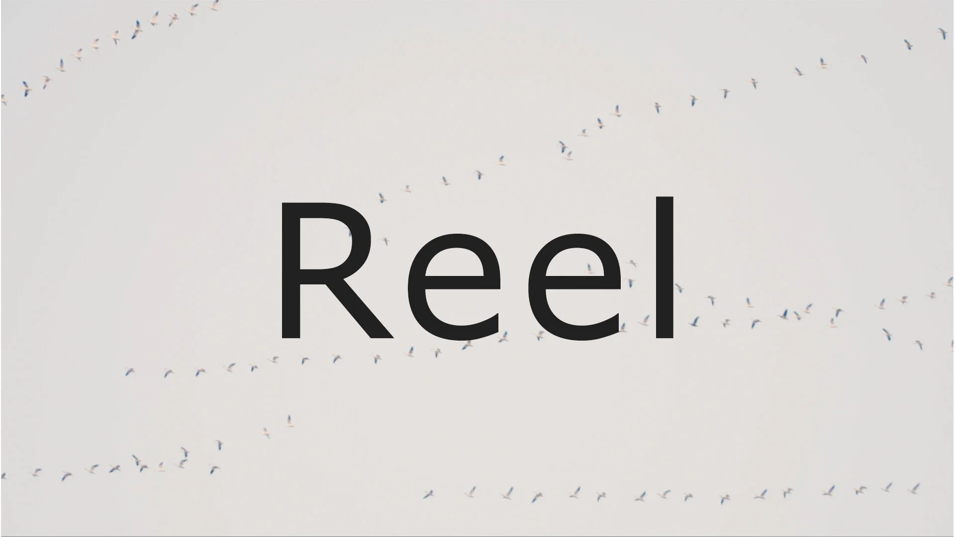 Reel_banner_web_2.jpg
