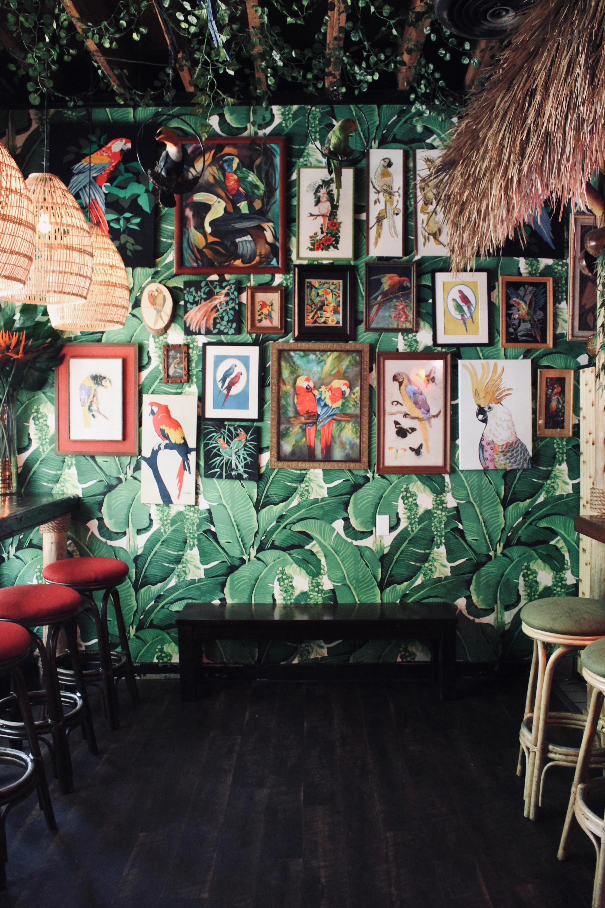 Tiki Tuesday: The Jungle Bird