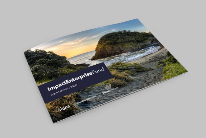 IEF Impact Report 2020