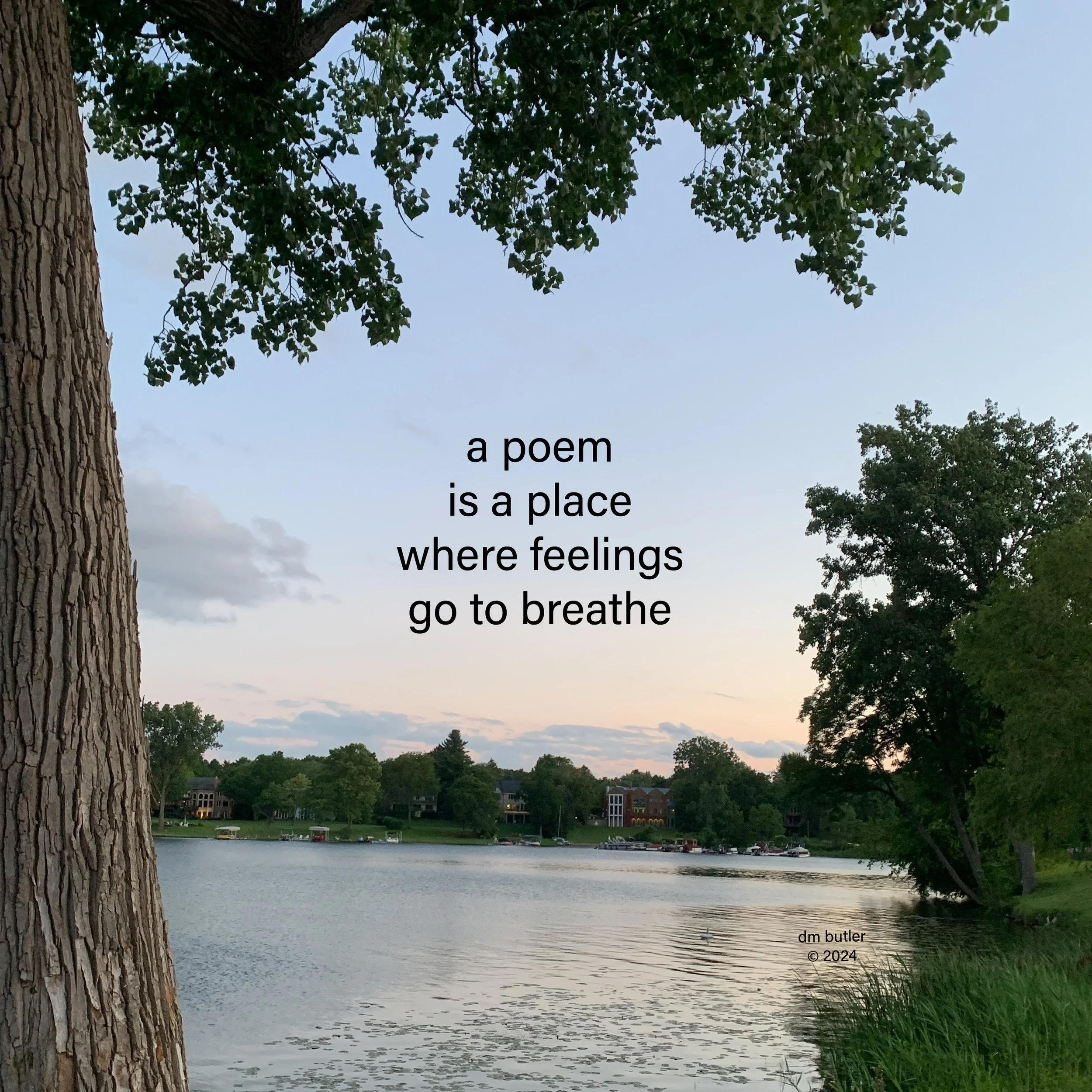 A Poem's Place