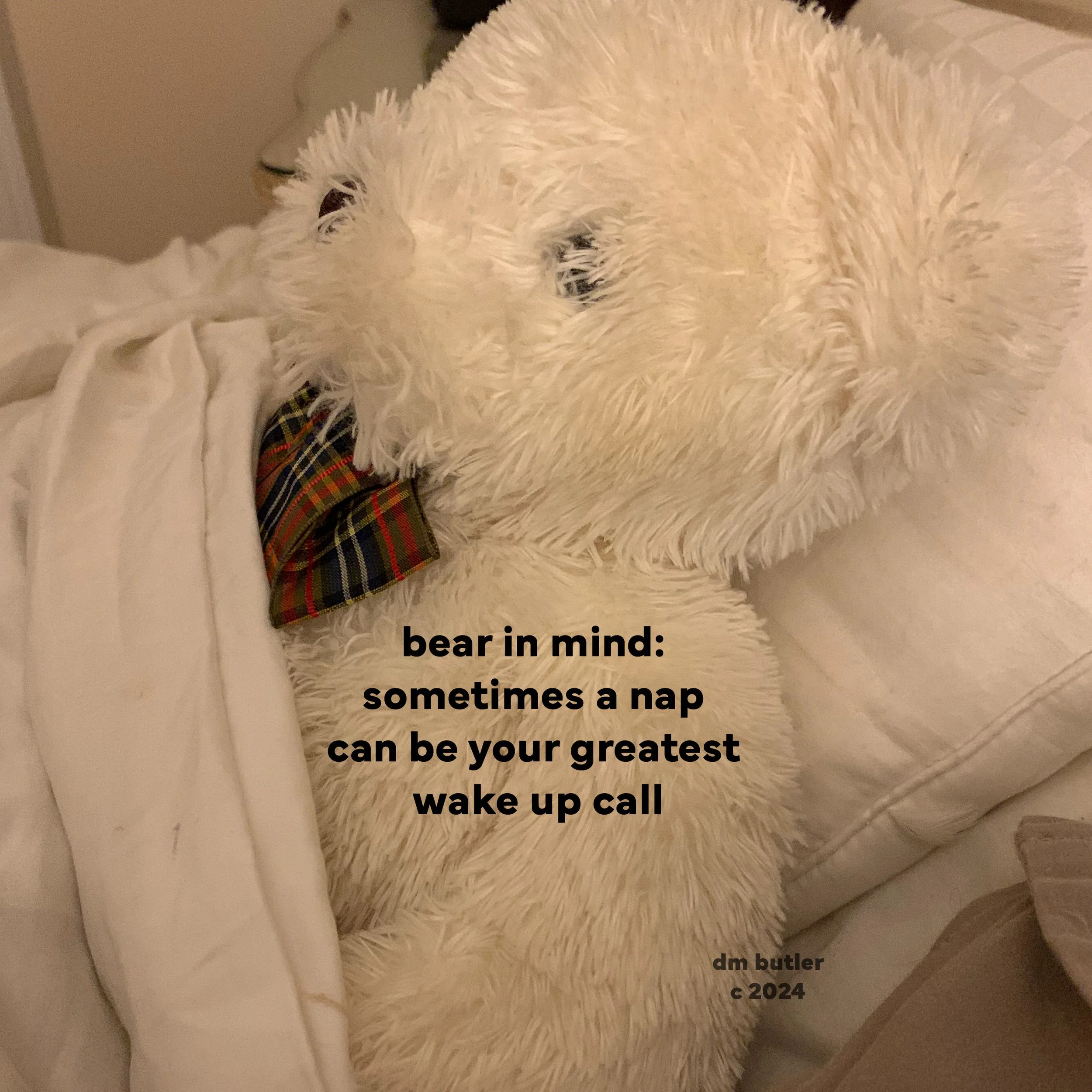 Bear In Mind