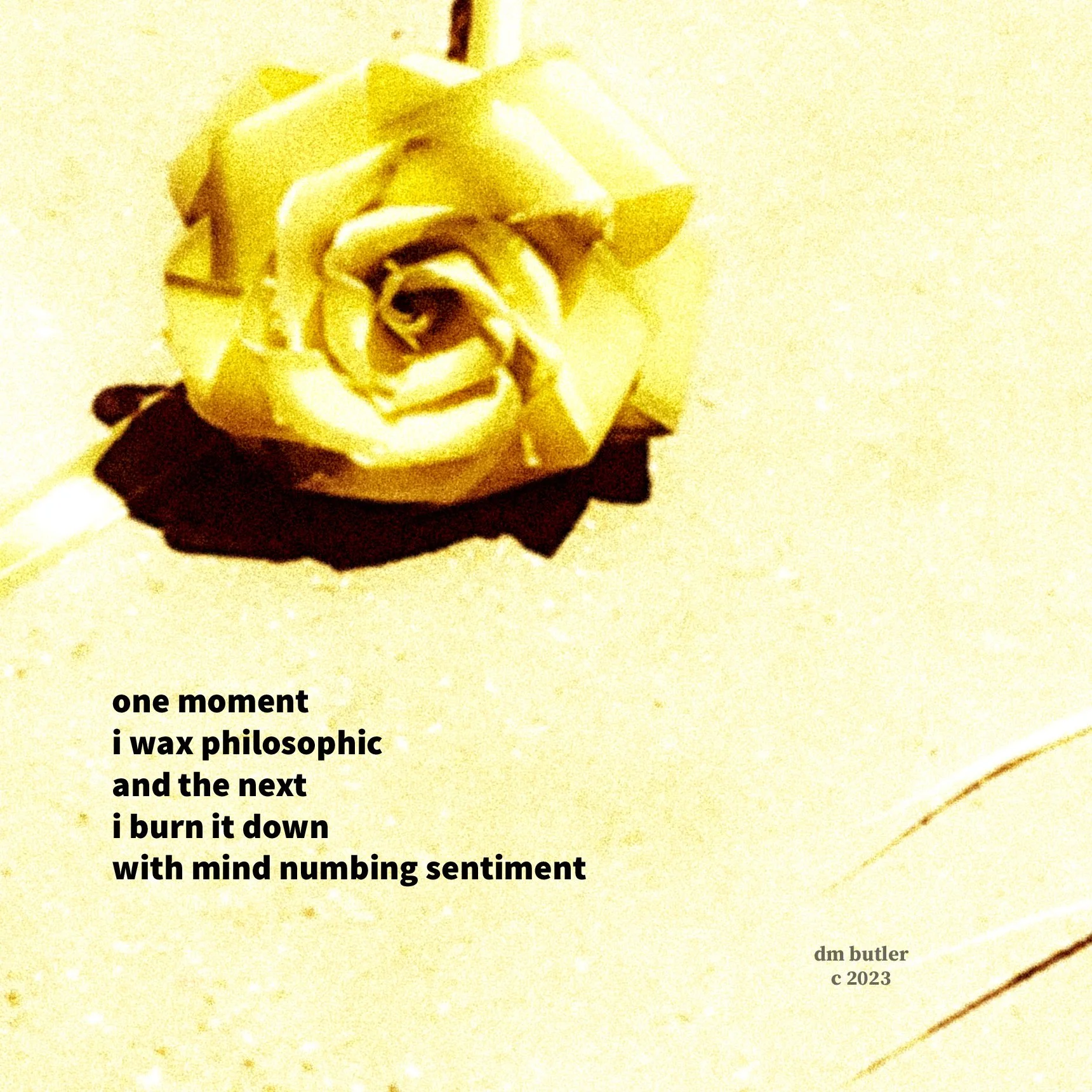 Wax Philosophic