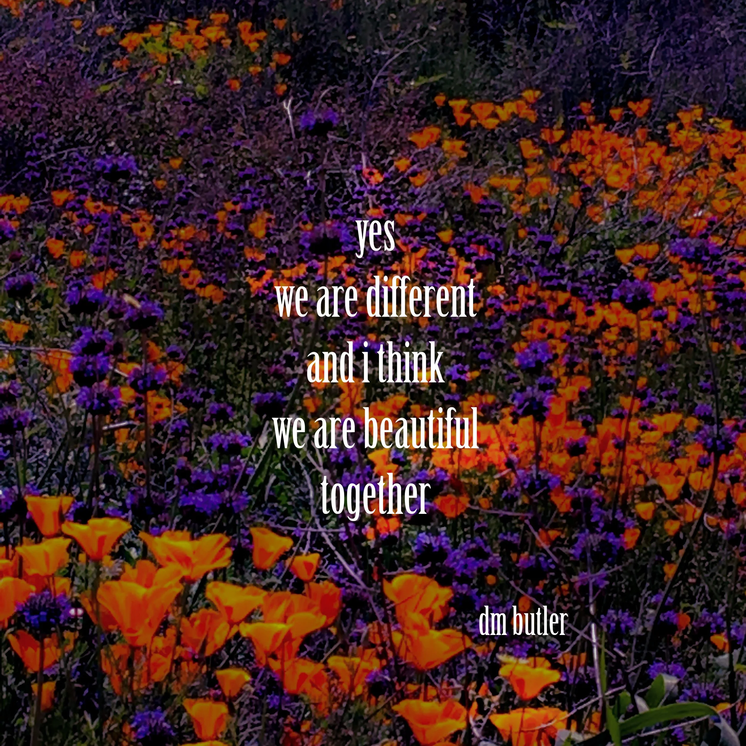 Beautiful Difference