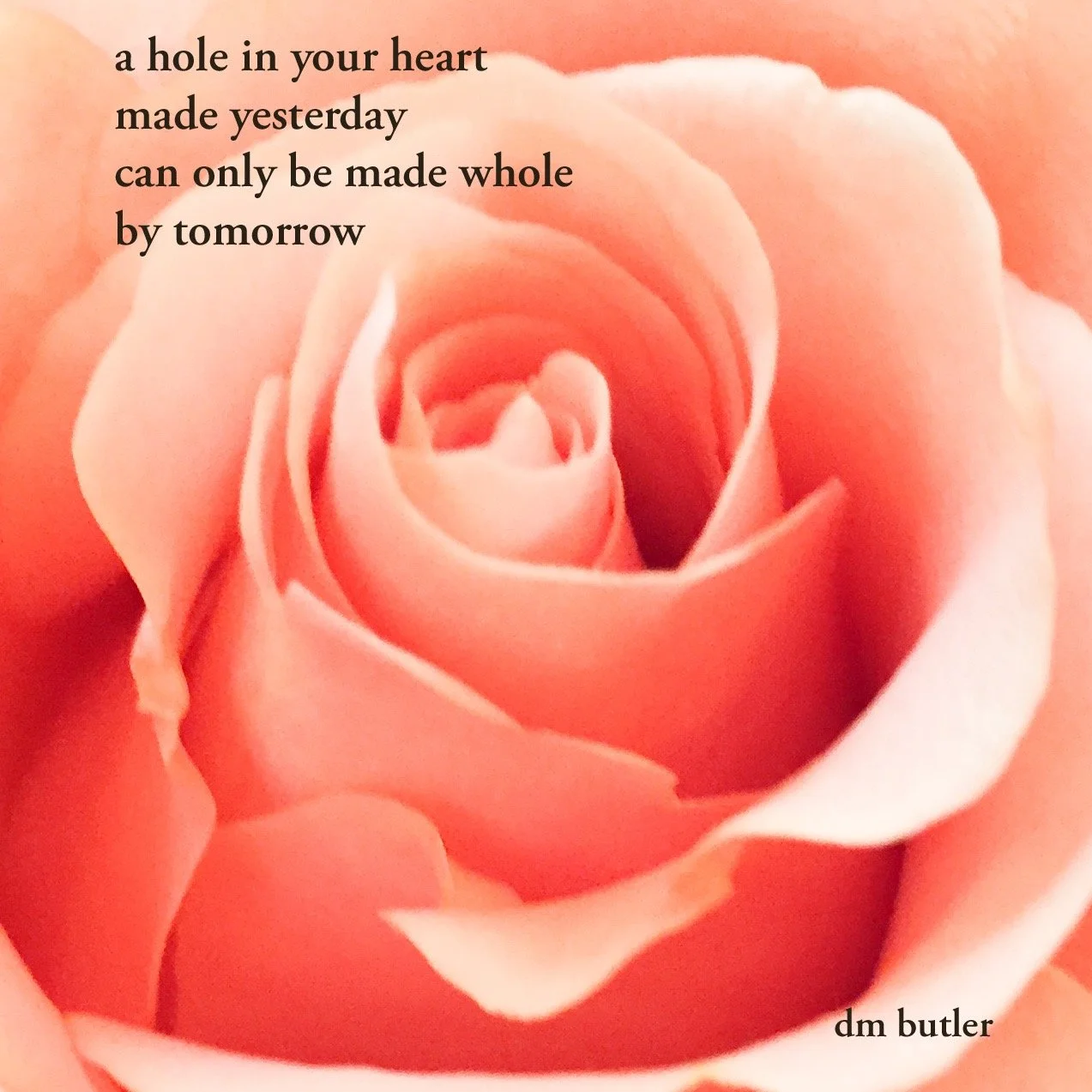 Heart Hole - peach