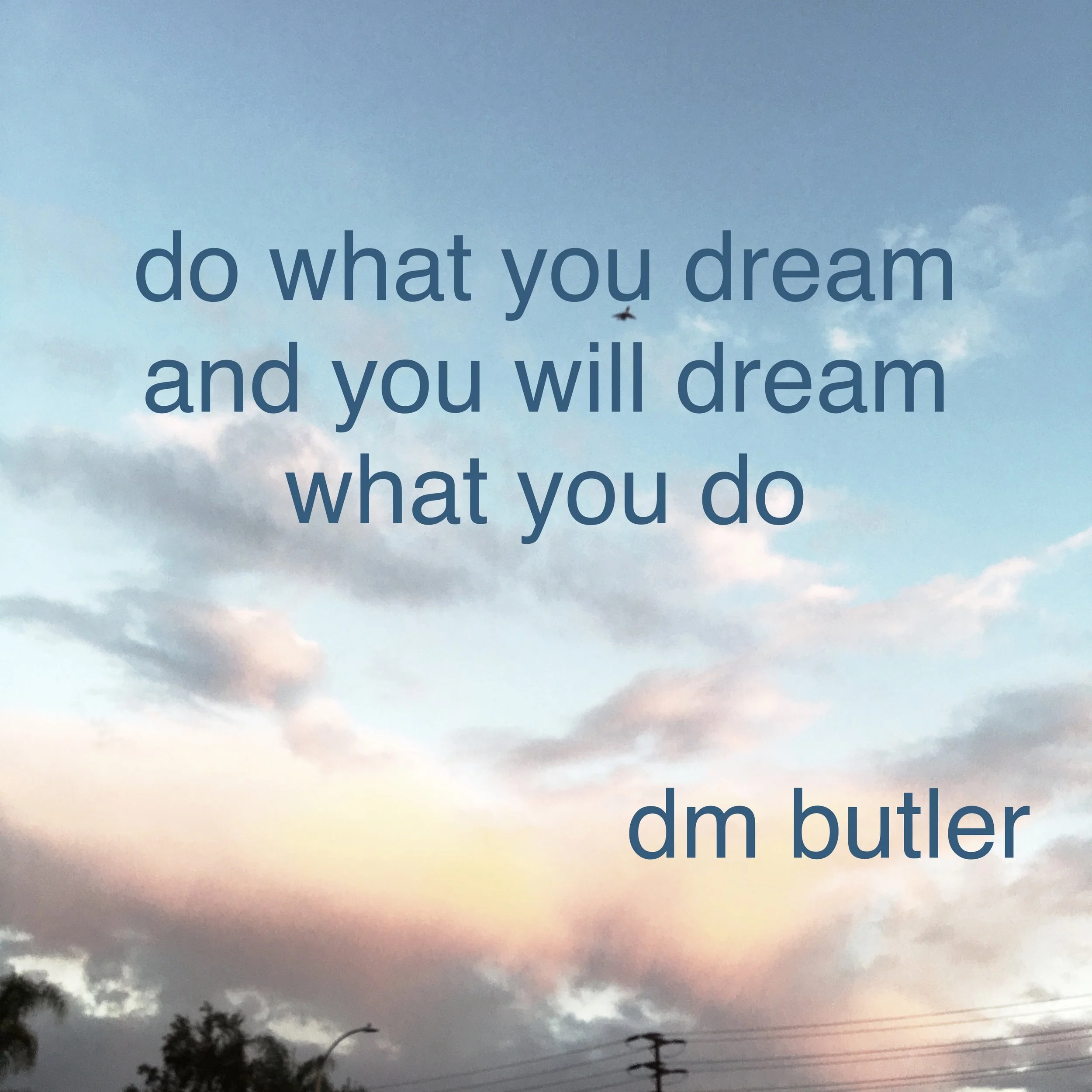 Do What You Dream