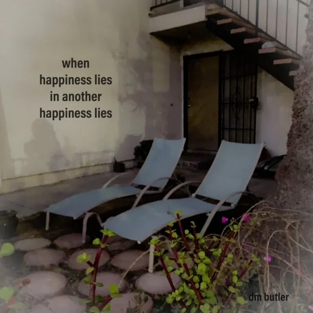 Happiness Lies