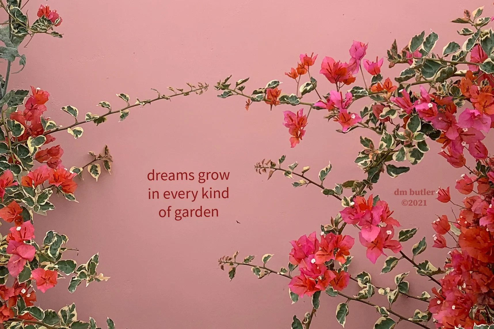 Dream Garden