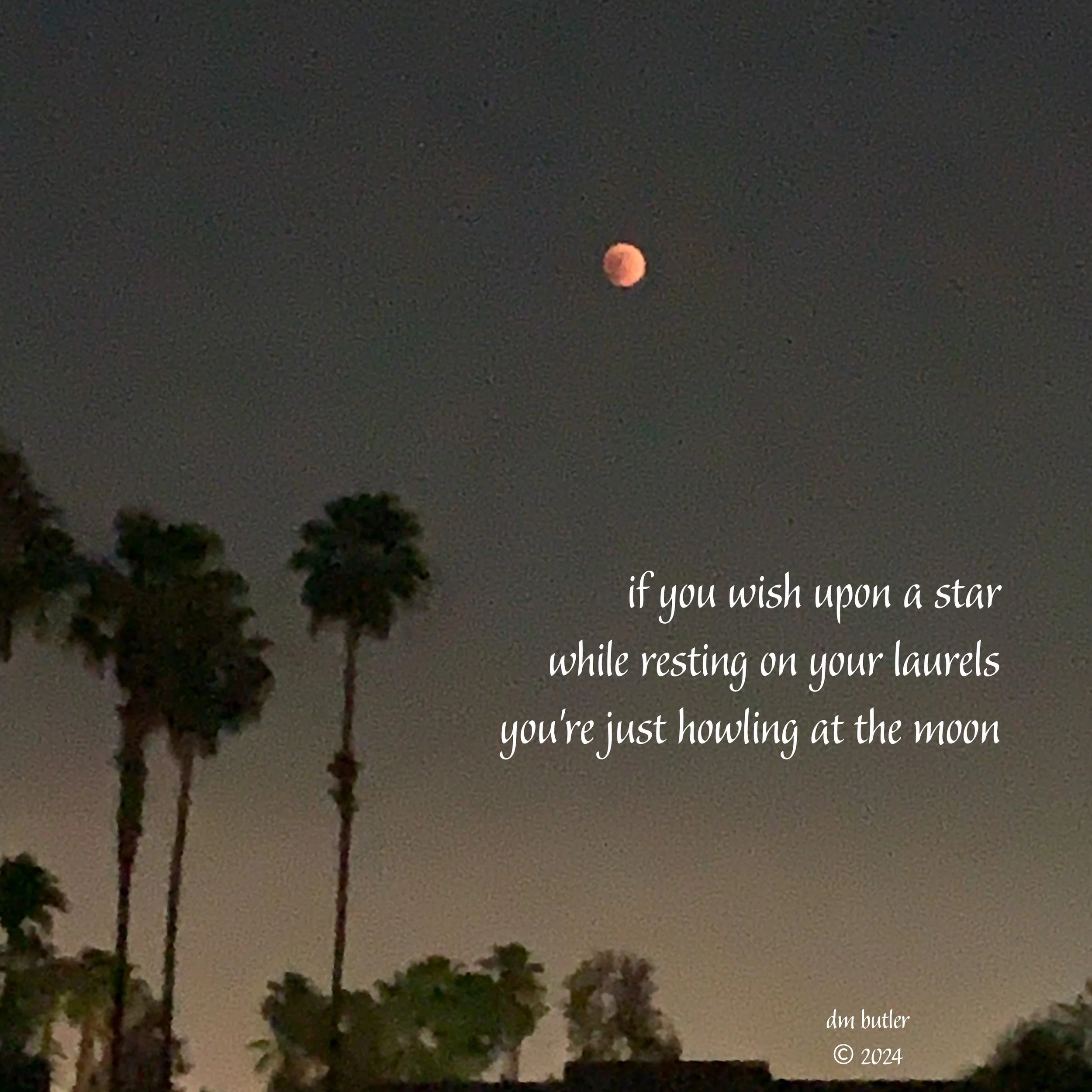 Wish Upon a Star