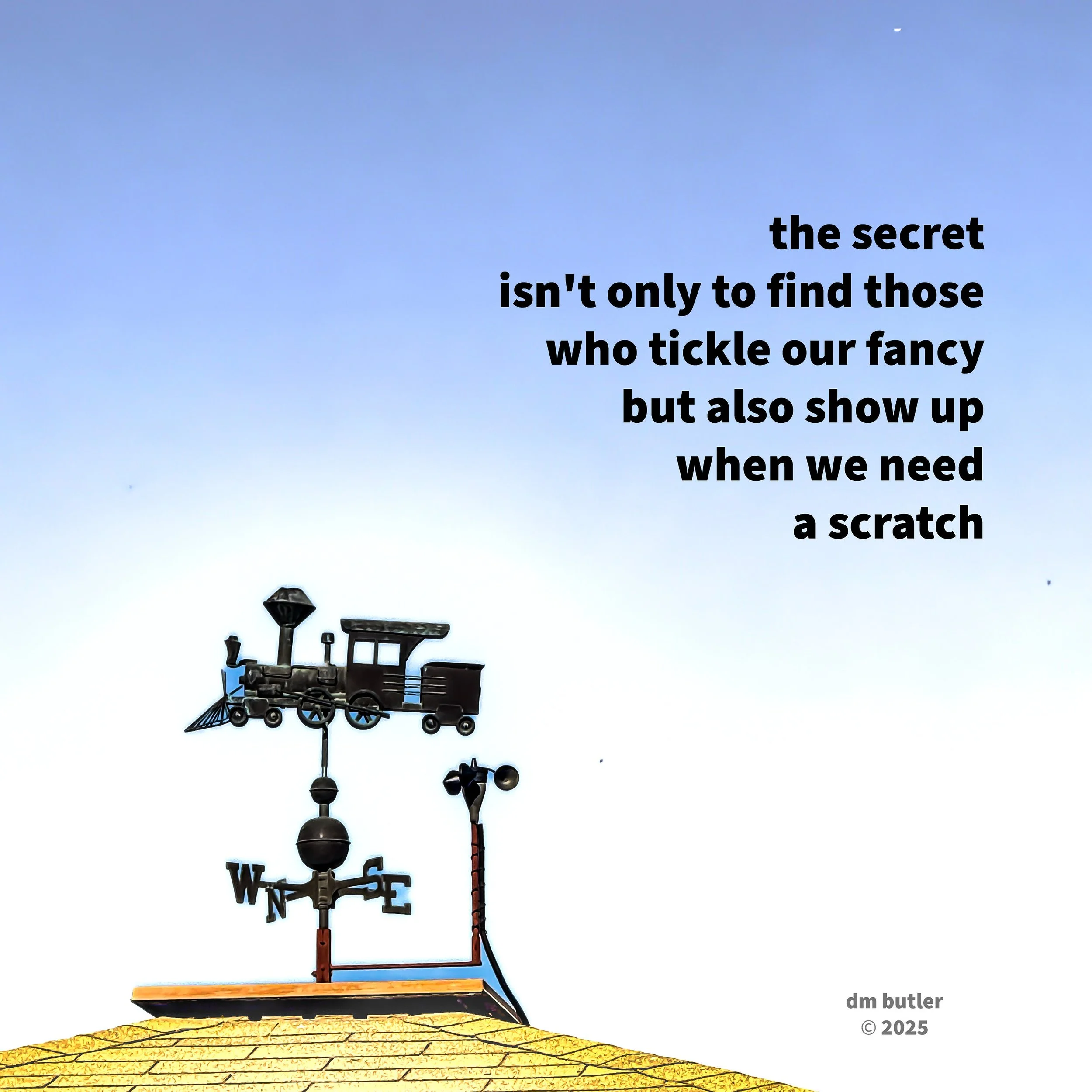 Tickle and Scratch