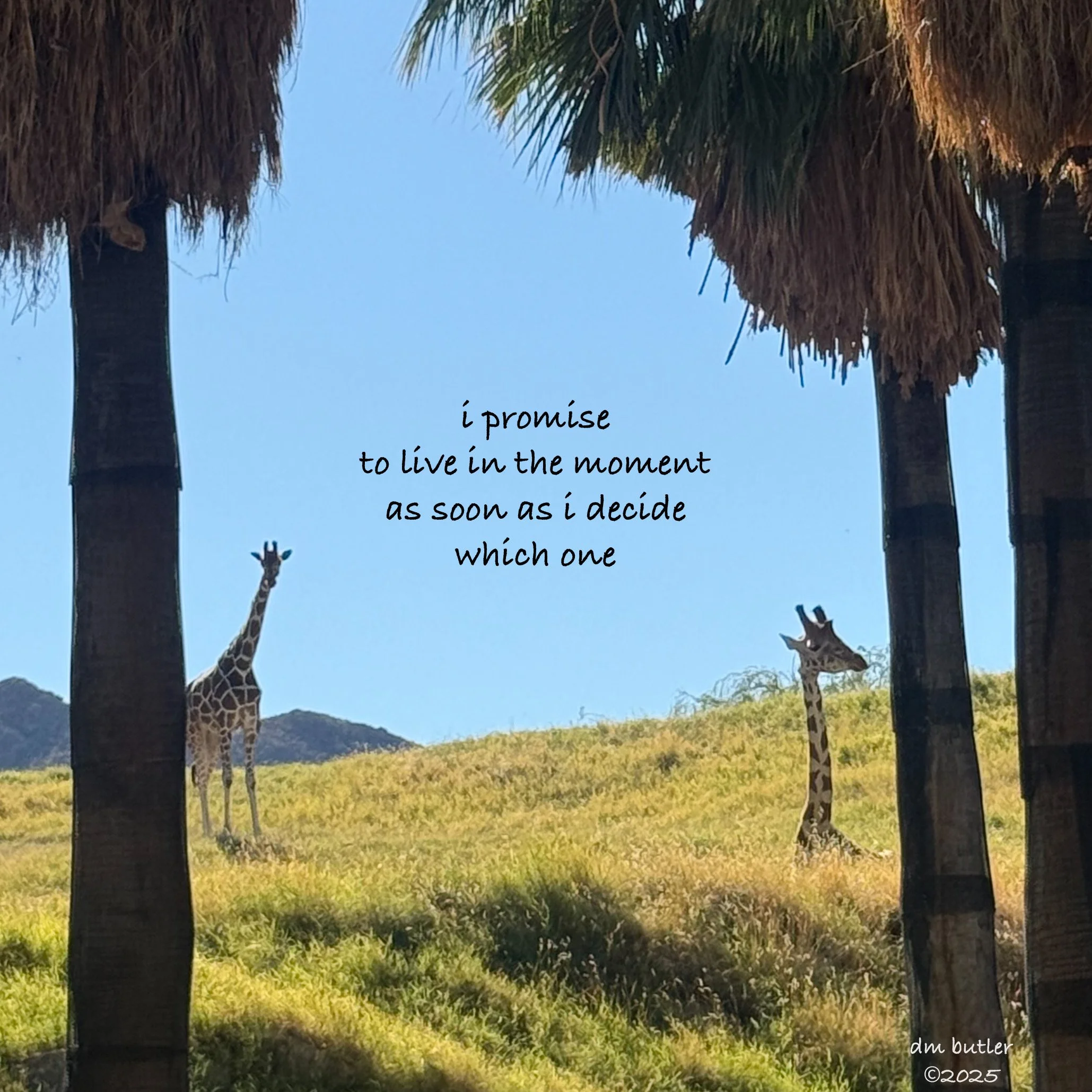Momentary Promise