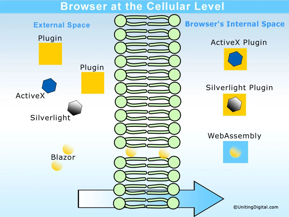 Browser at the Cellular Level