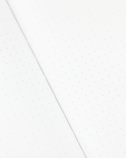 DotGrid_2cacd2f4-a043-495d-9f8f-f63209a76c88_grande.png