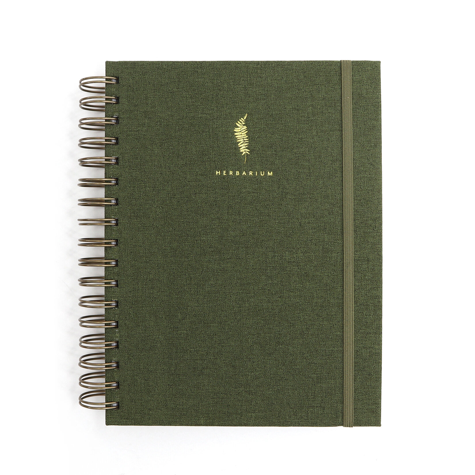Diary, Notebook Moonlit Aspens Journal