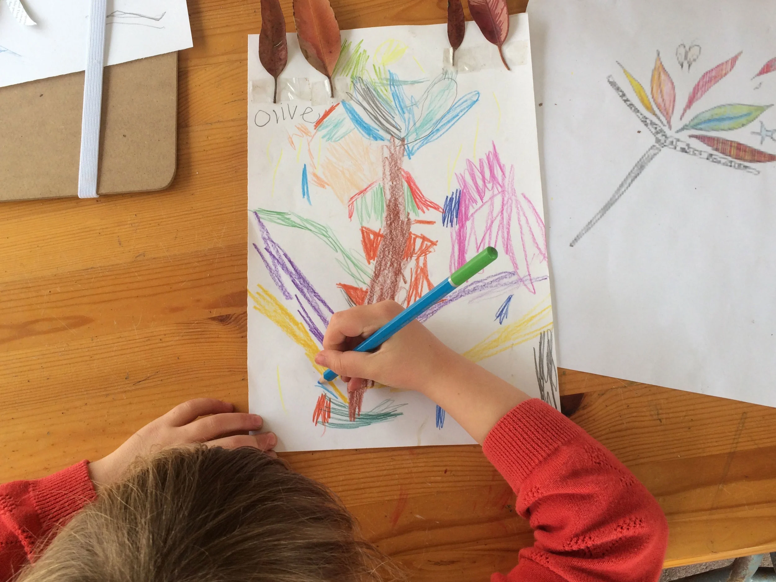 Creating a natural brand involving children