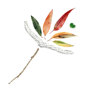 NLC Wand Clear Small.png