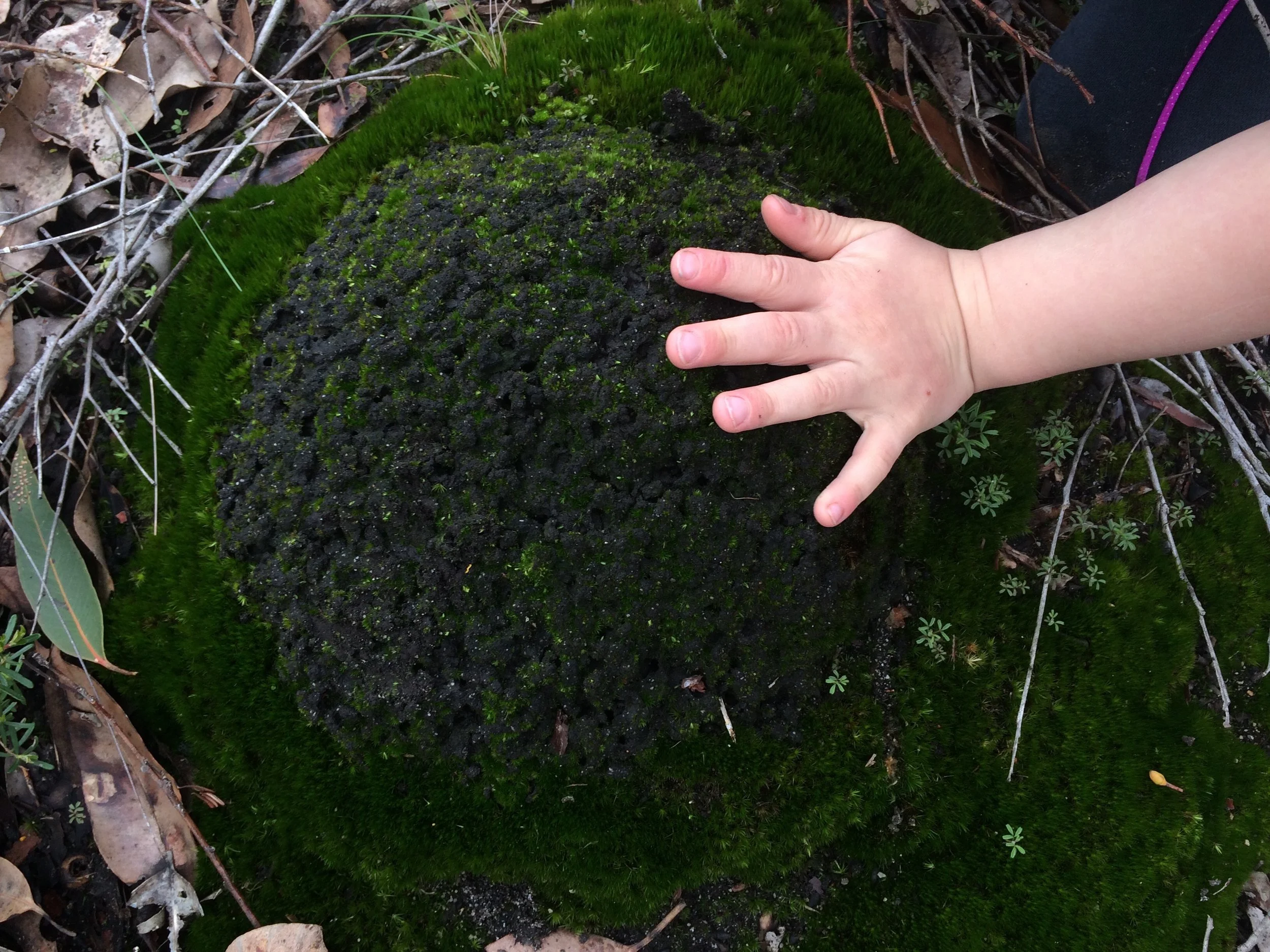 Environment inspired, interest driven learning