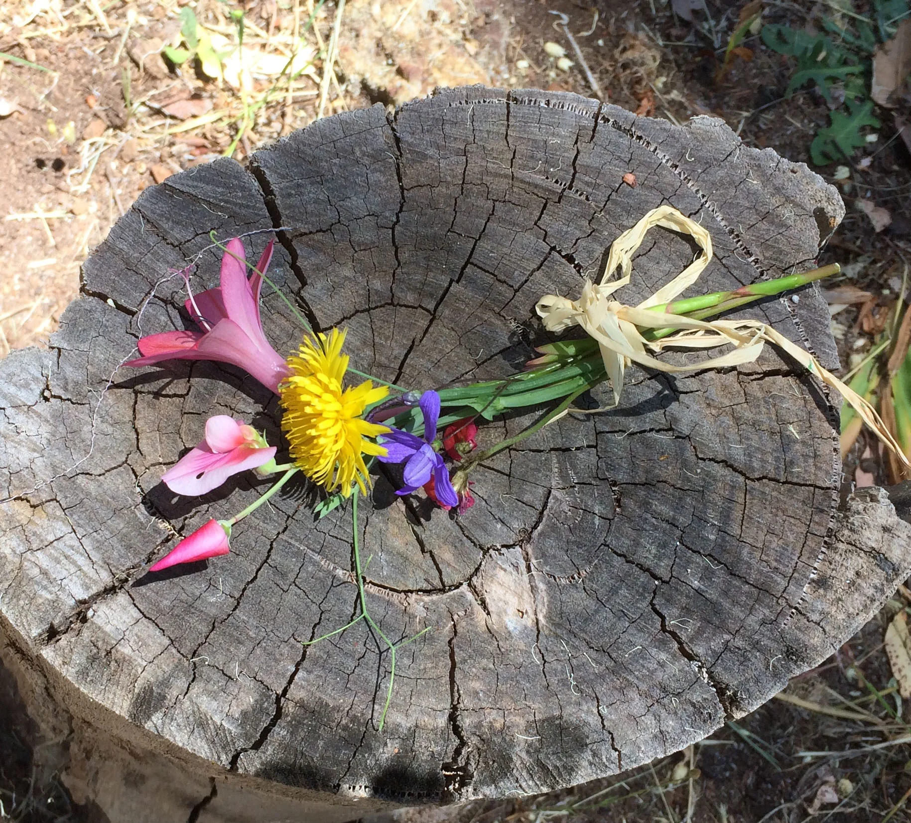 Flowers.jpg