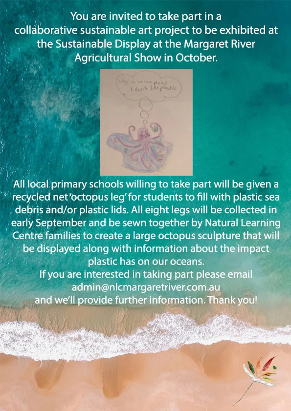 Sustainable_Octopus_Project.jpg