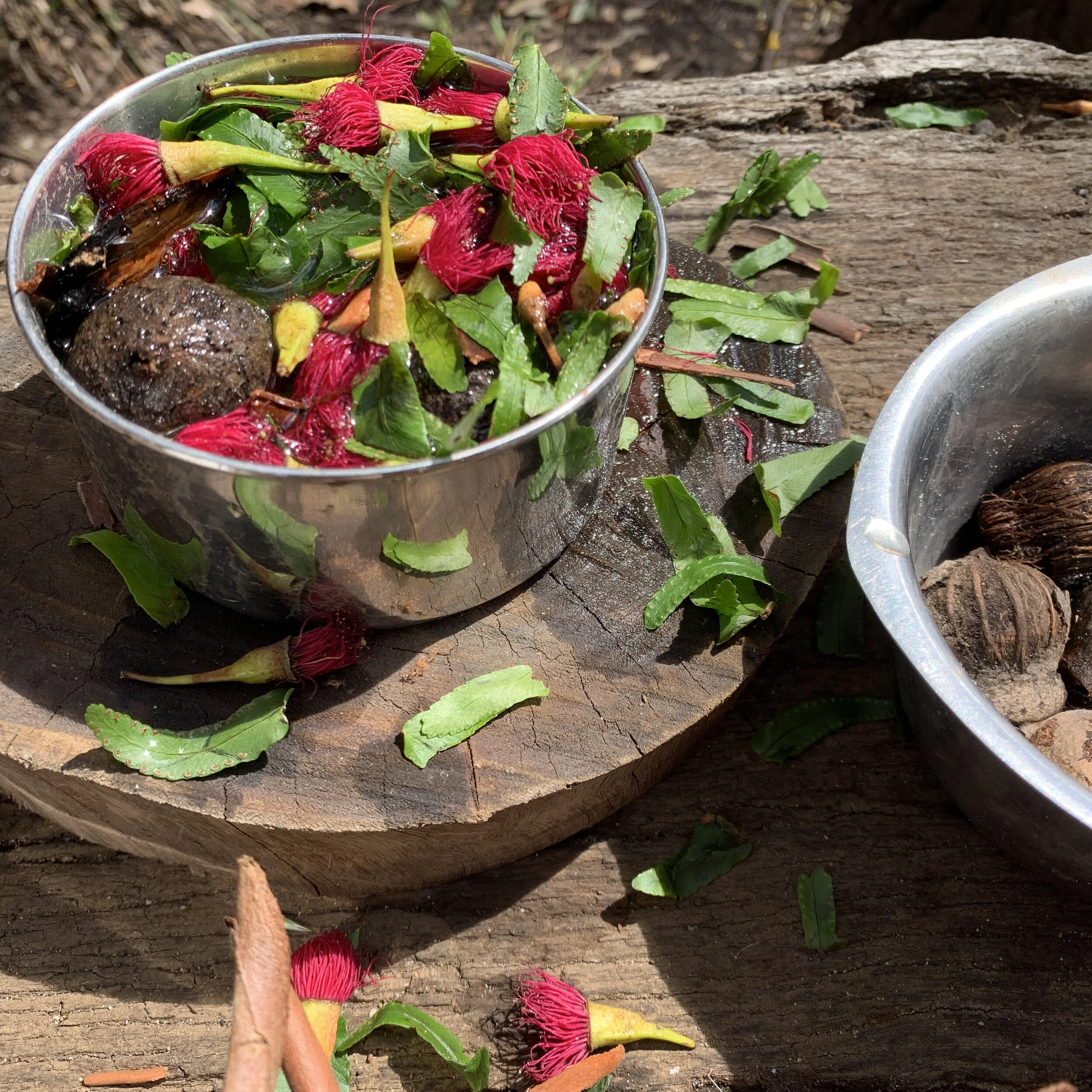 IMG_3871.JPG