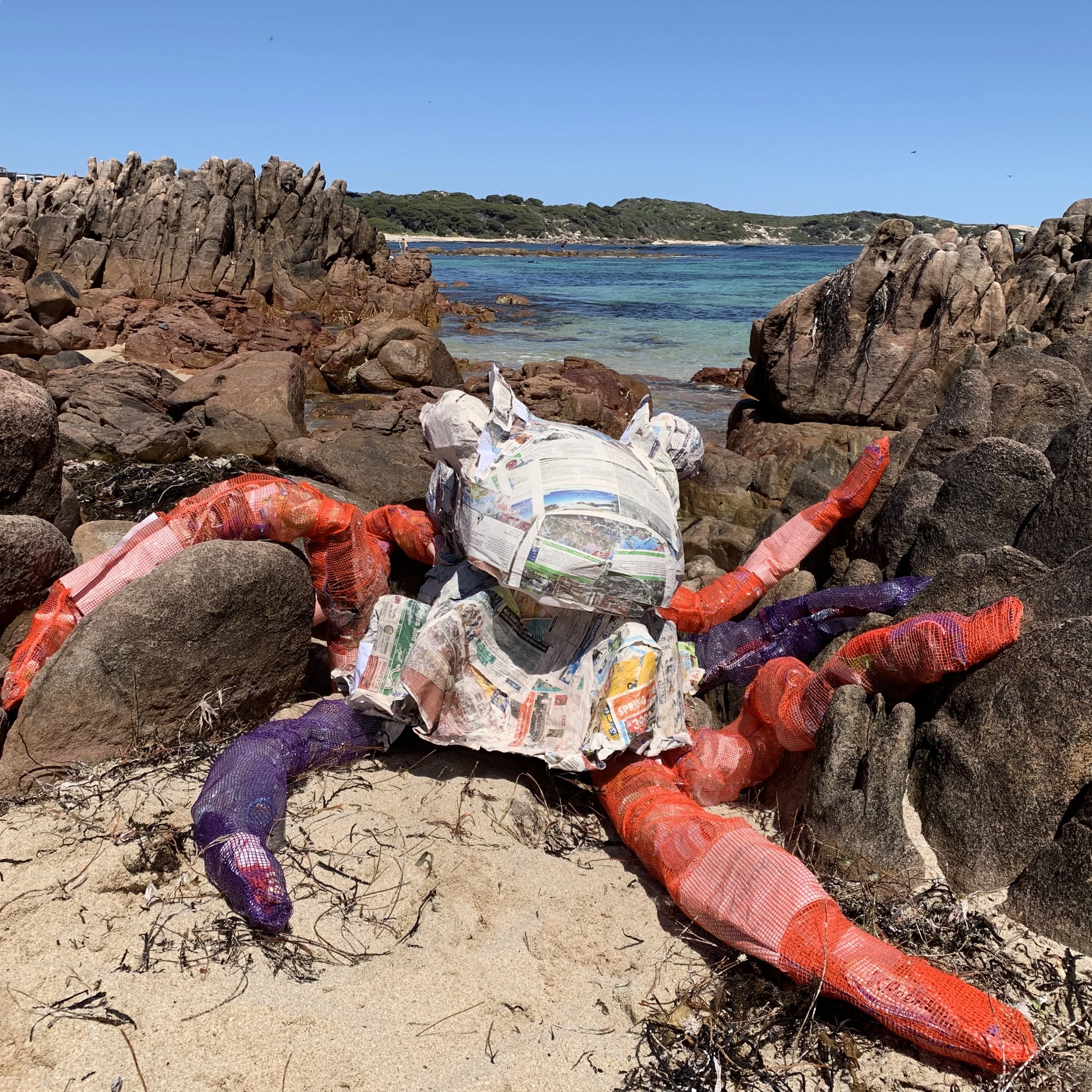 Marine Debris Project