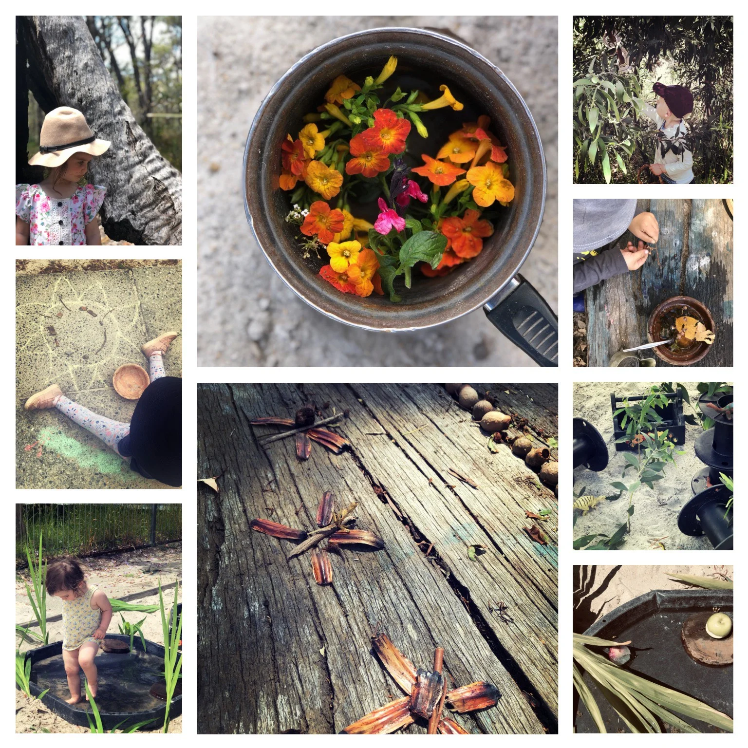 Collage8.jpg