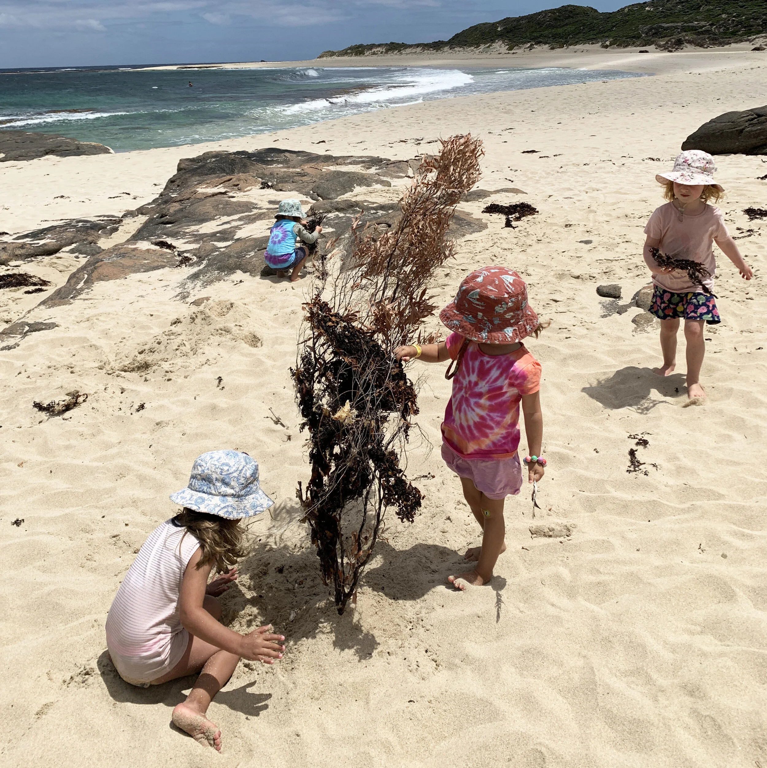 SeaweedDecoratedTree.jpg