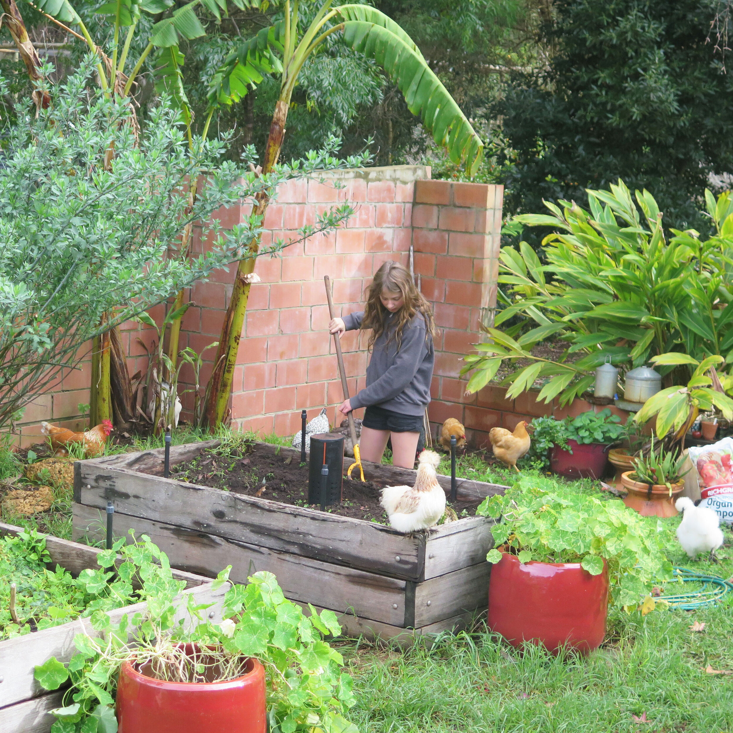 GardeningWithFriends.jpg