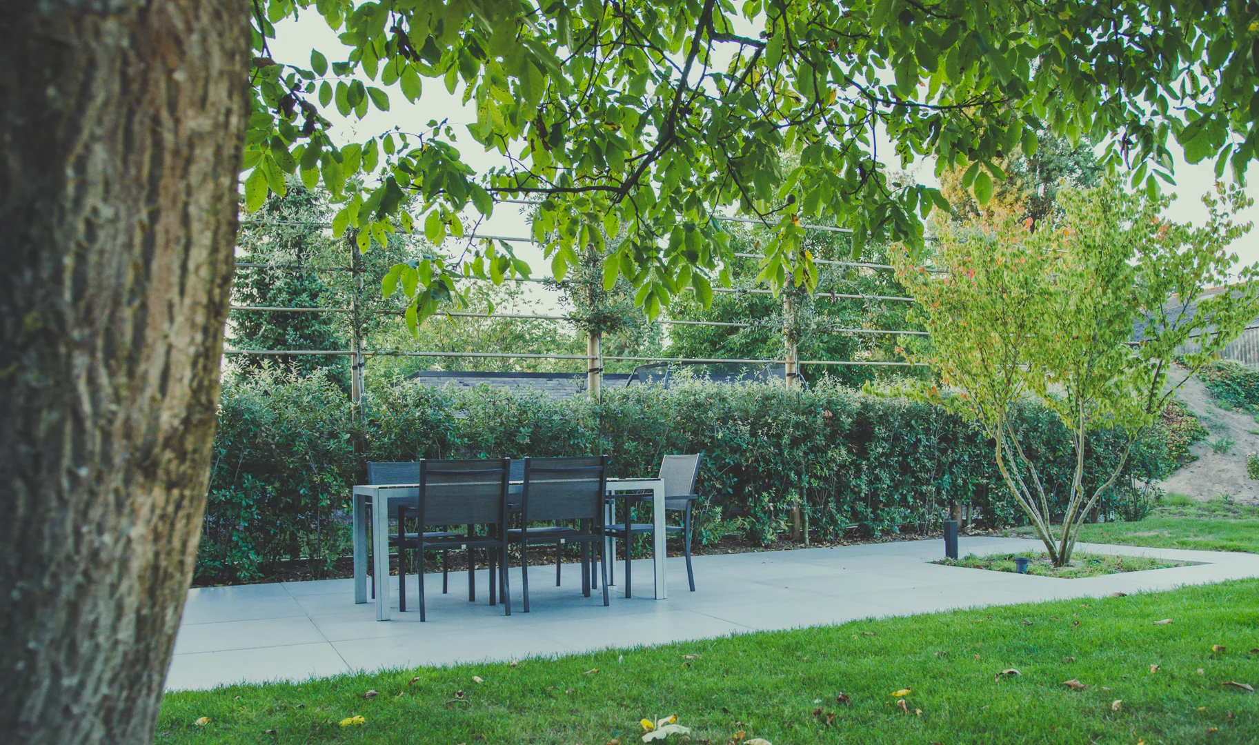 Rechte structuren in de tuin in Zulte