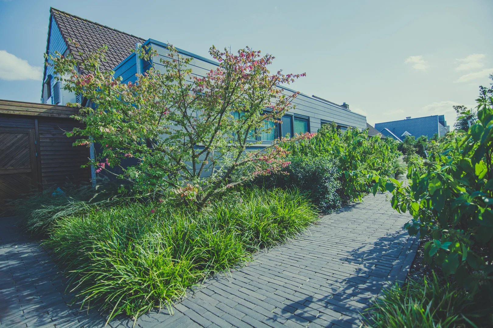 Strakke plantvakken in Nevele