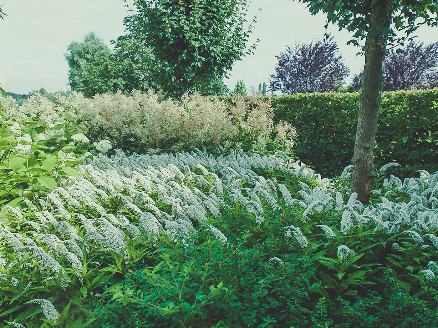 Landelijke tuin met vijver