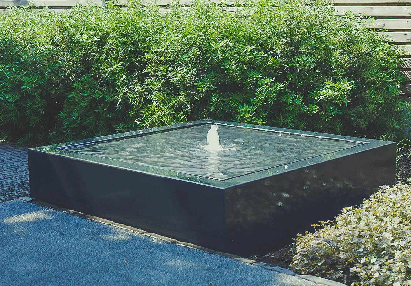 Vijver met waterplanten