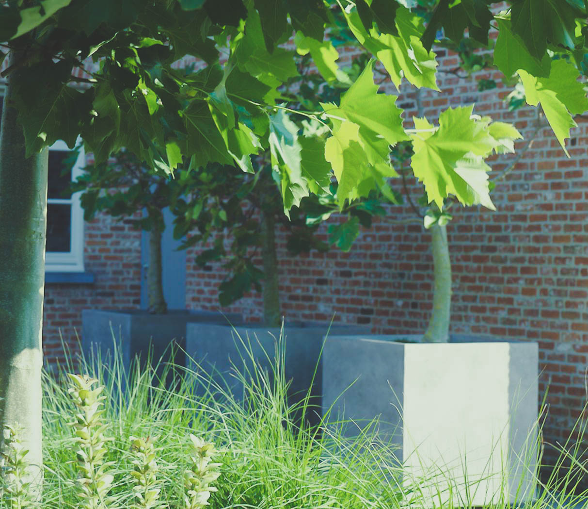 Representatief groen bij de woning