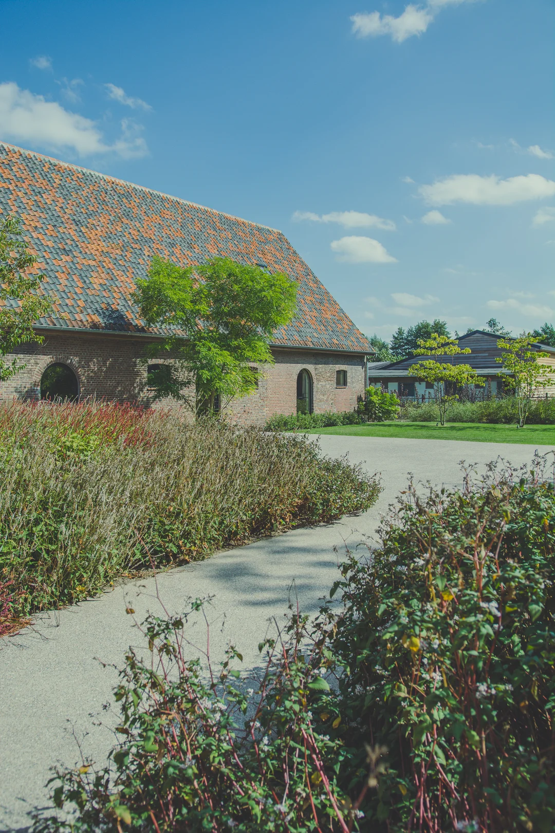 Organische vormen in het bedrijfsgroen