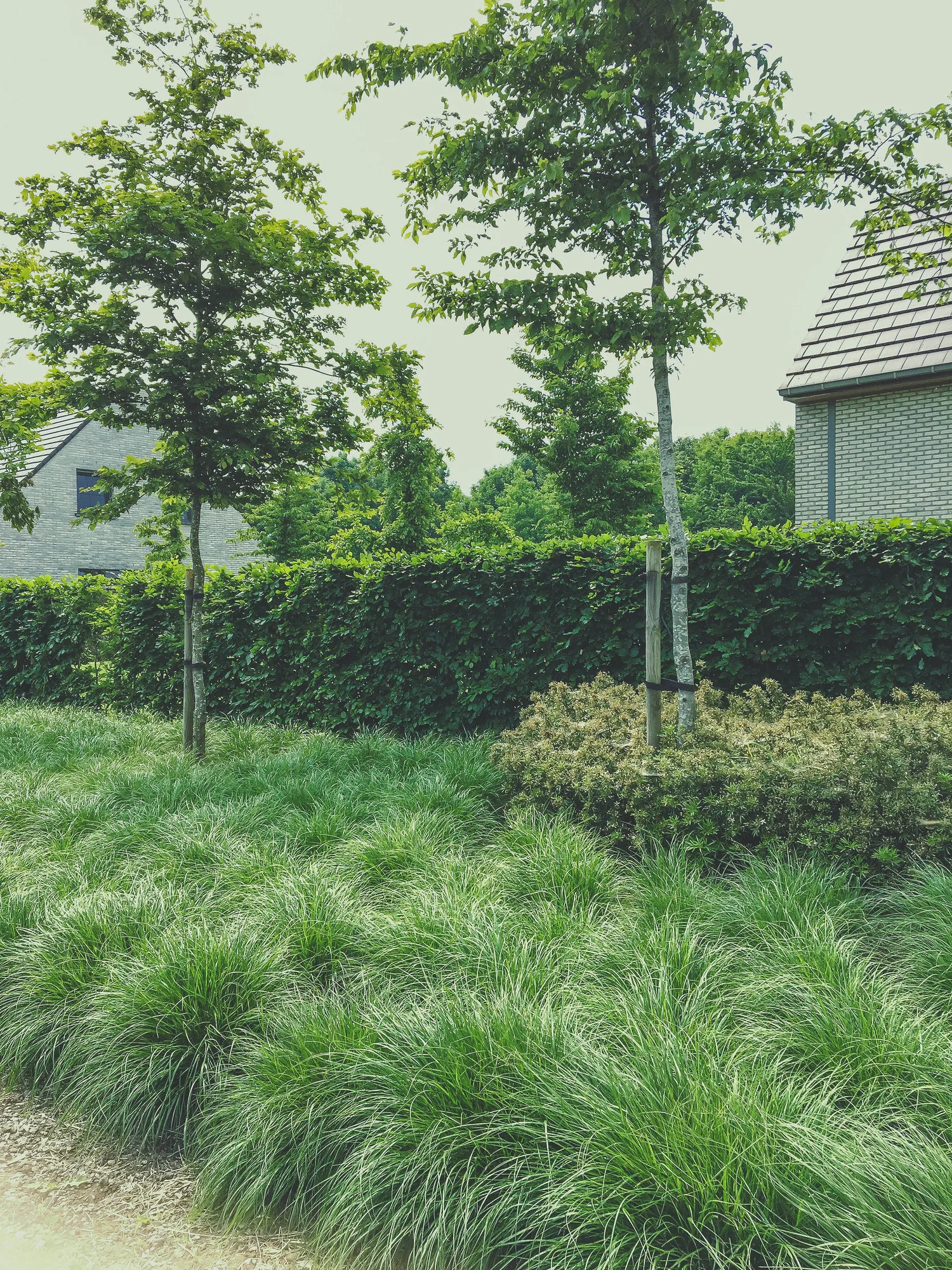 Strakke tuin in Wingene