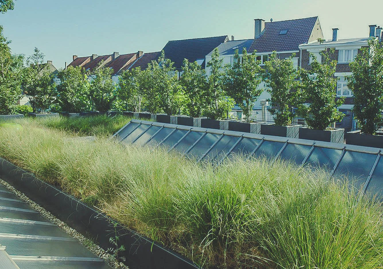 Stadstuin met groendak