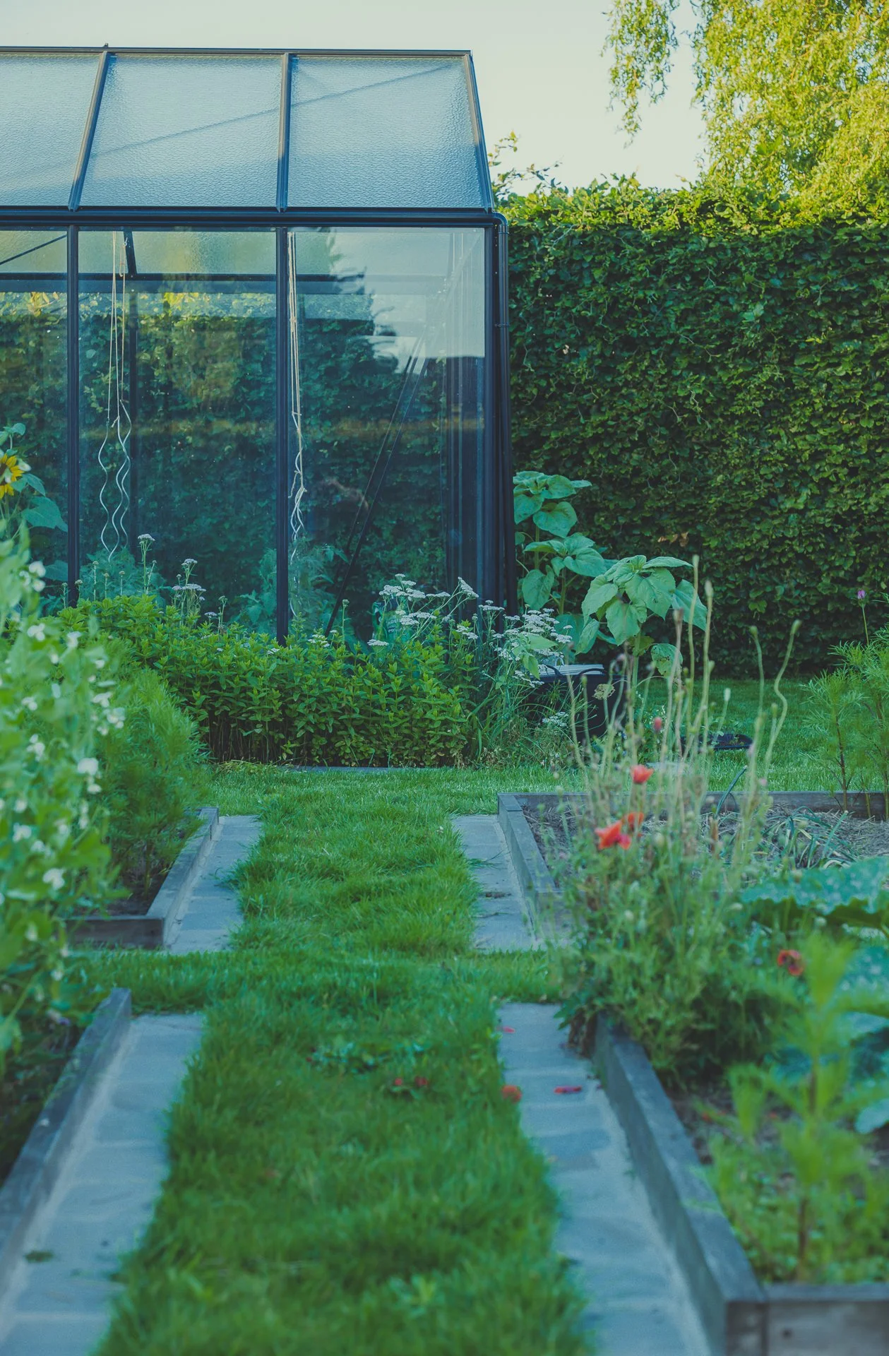 Eetbare tuin