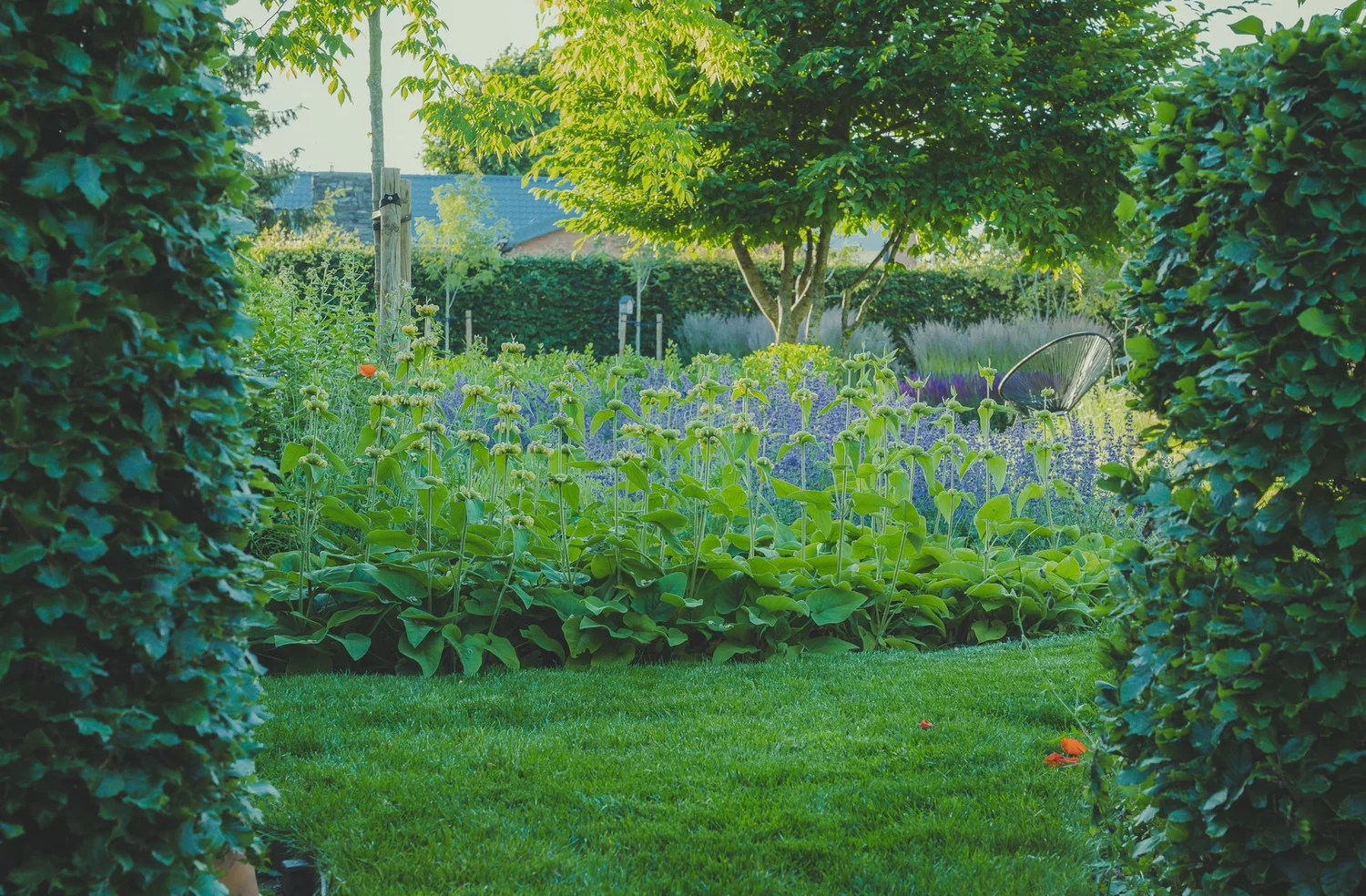 Moestuinbedden en serre