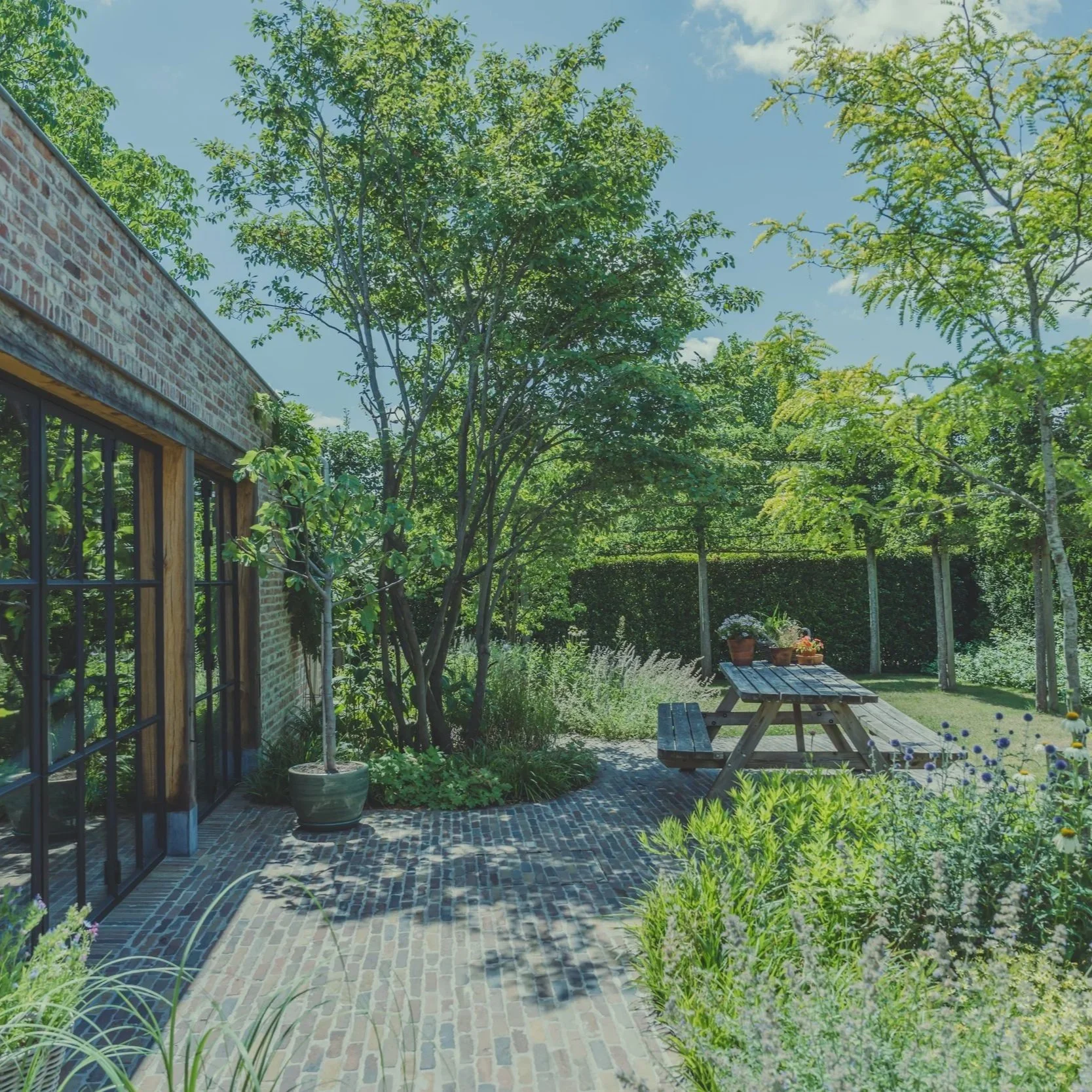 Gebogen paden door de landelijke tuin
