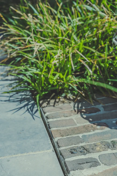 Tuin door De Roose op Instagram