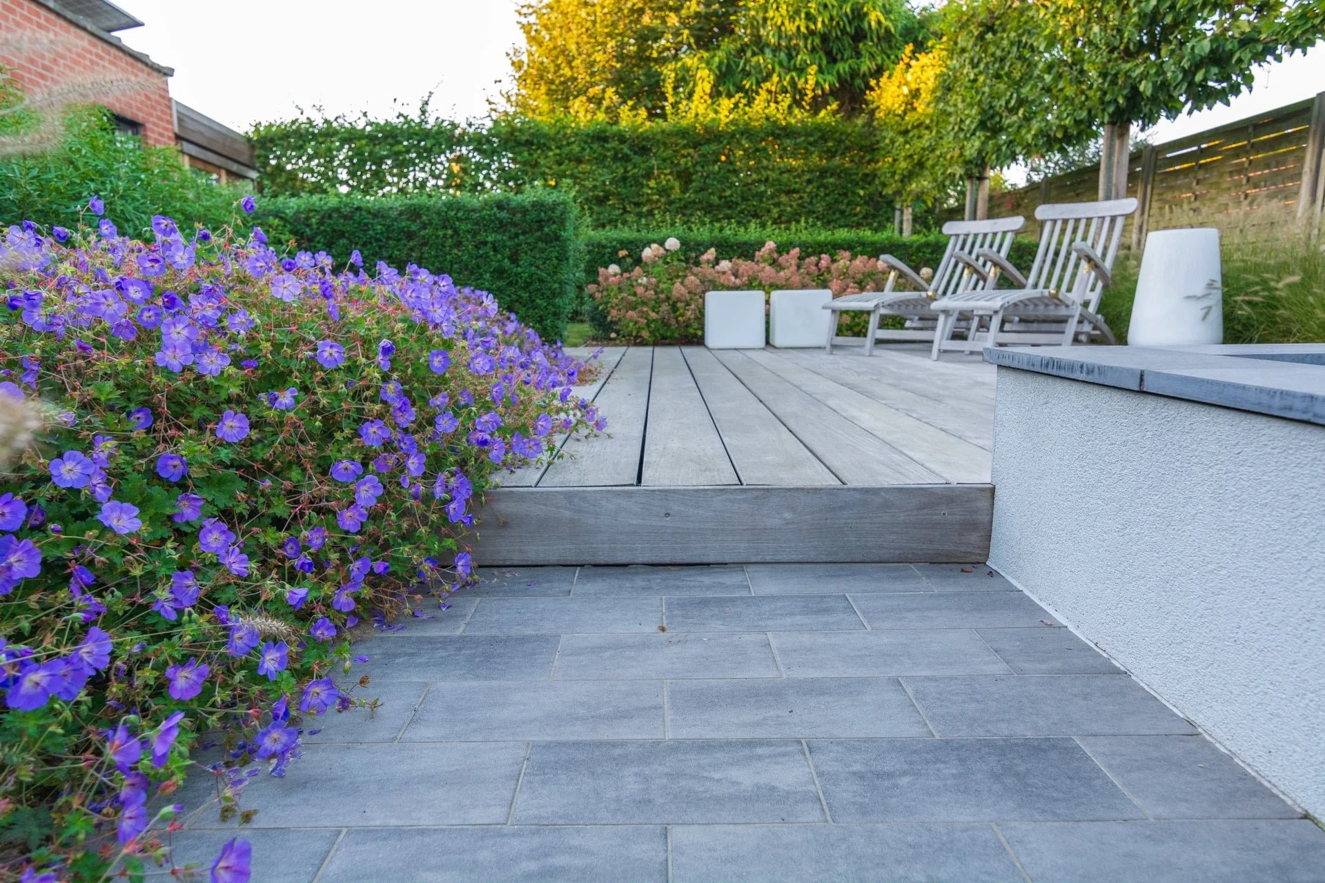 Ooievaarsbek langs het houten terras [modern]
