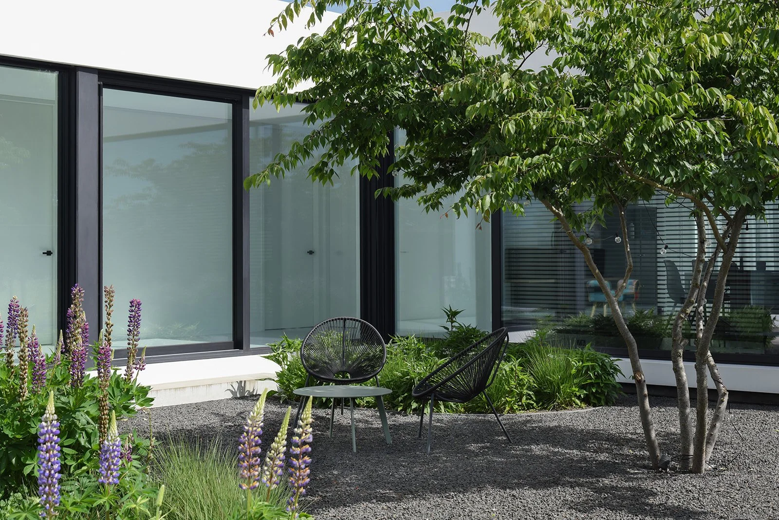 Moderne tuin met grind, siergrassen en bloeiende lupines bij een strakke woning