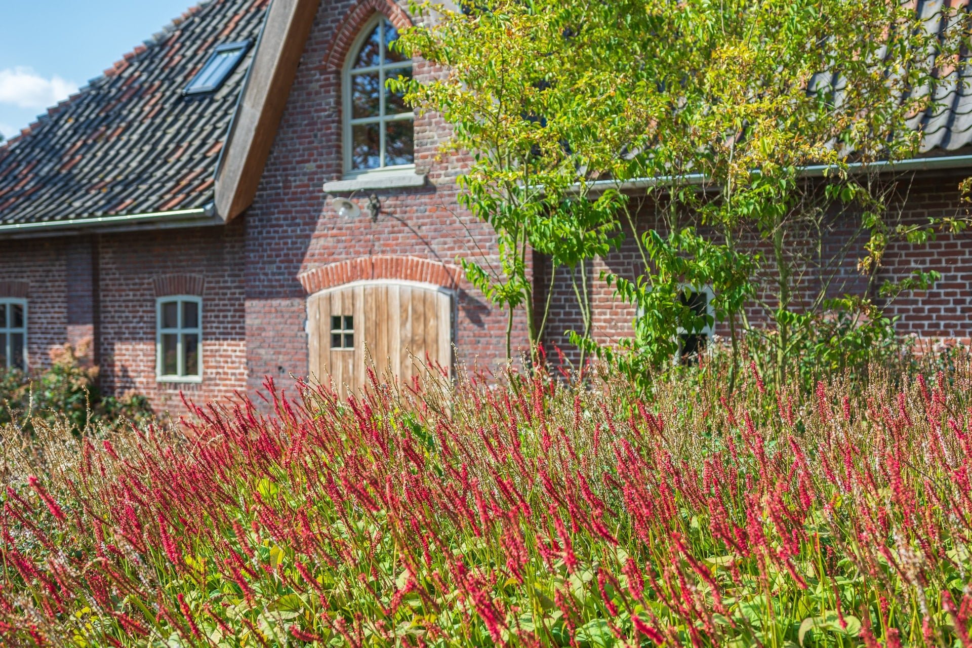 Bloeiende duizendknoop voor de gevel van een bedrijfsgebouw