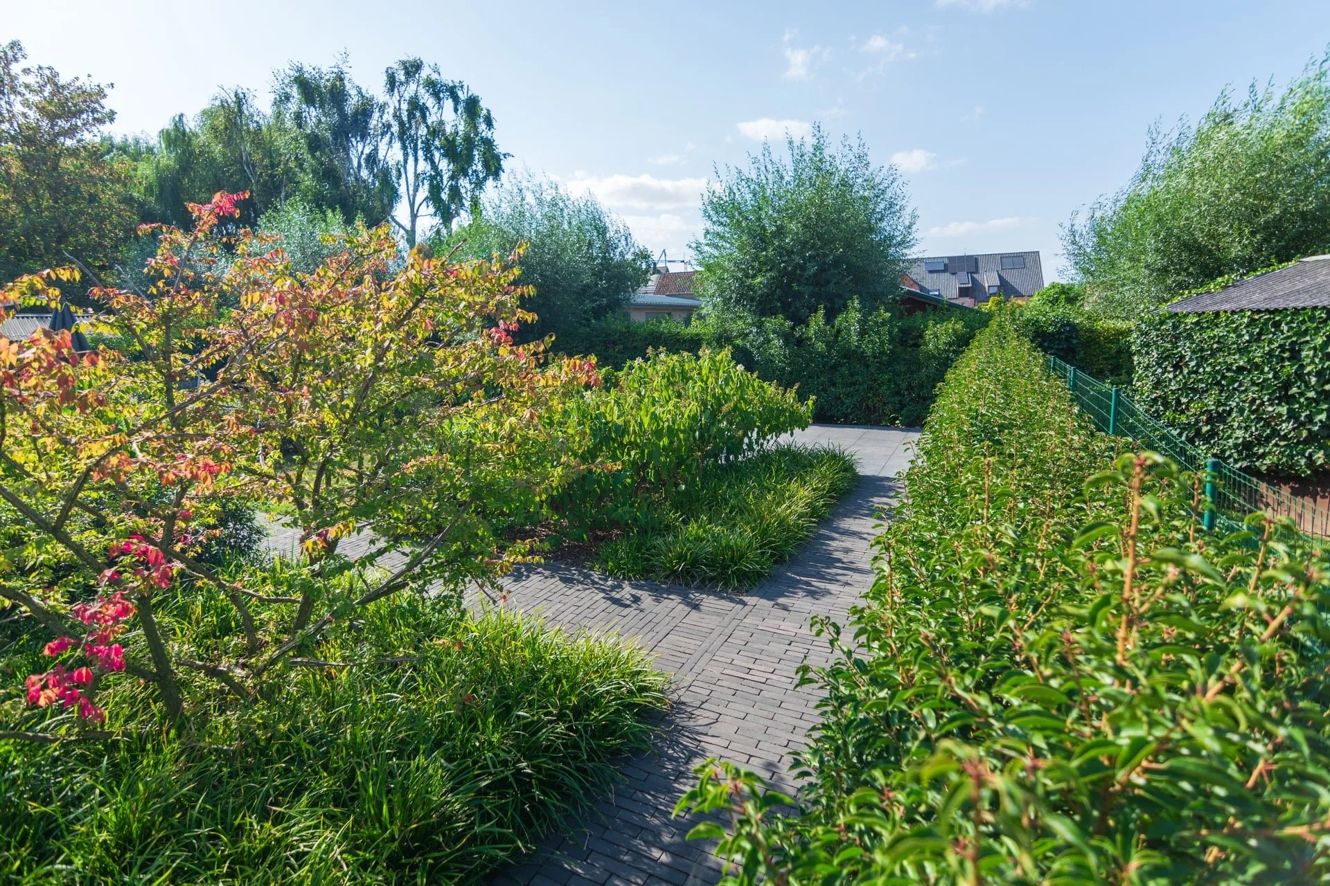 Herfstkleur langs het tuinpad [landelijk]